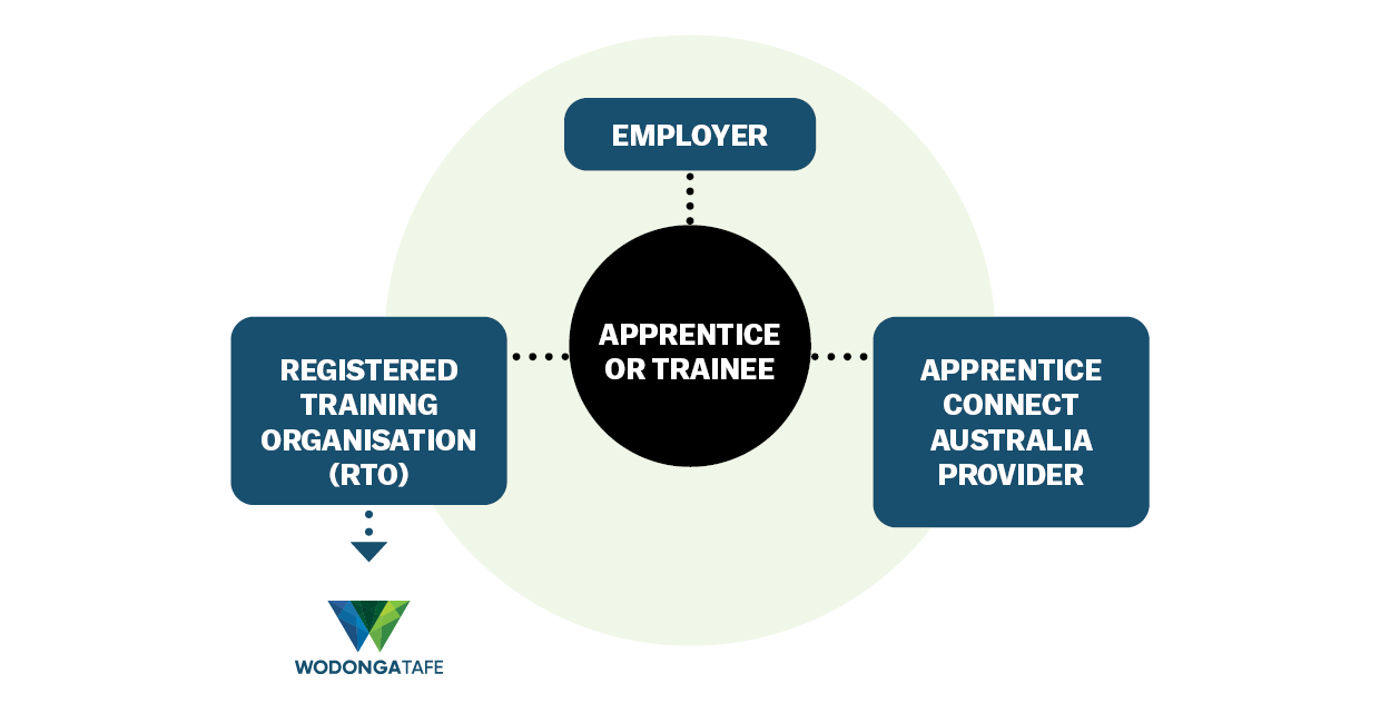 Apprentice and Trainee Connection Diagram Apprentice and Trainee Connection Diagram